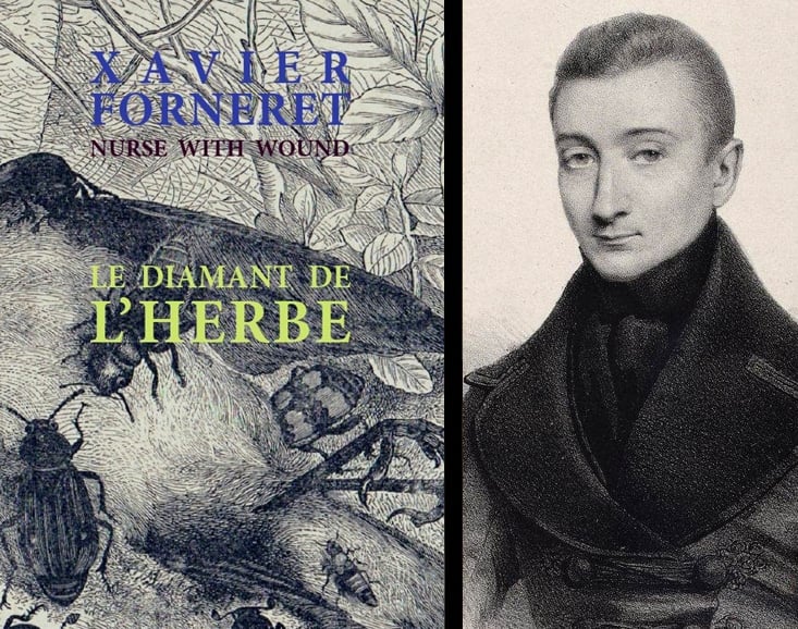 Image of A paraître : Le diamant de l'herbe de Xavier Forneret & Nurse With Wound