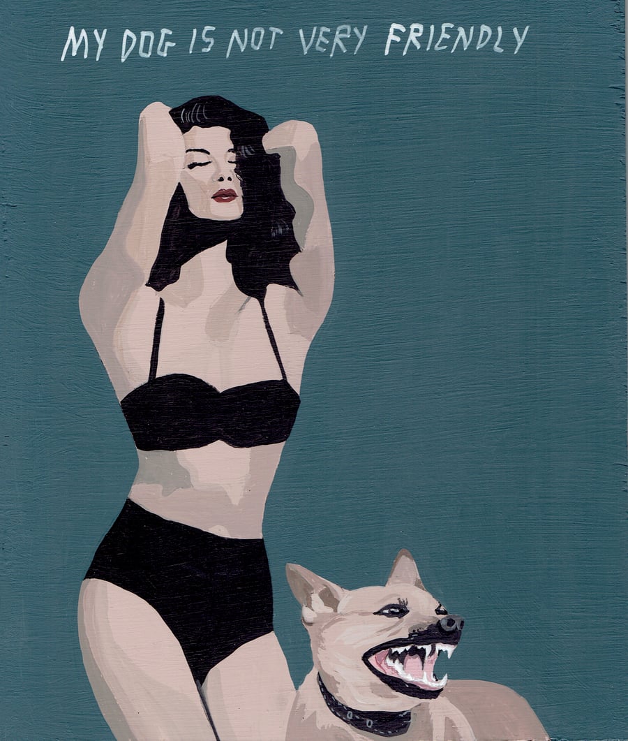 Image of NOT A FRIENDLY DOG