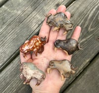 Image 1 of Prehistoric Blind Box: Bison