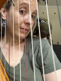 Teaching Video - Tune of the Week #1 "Dark Lowers the Night"