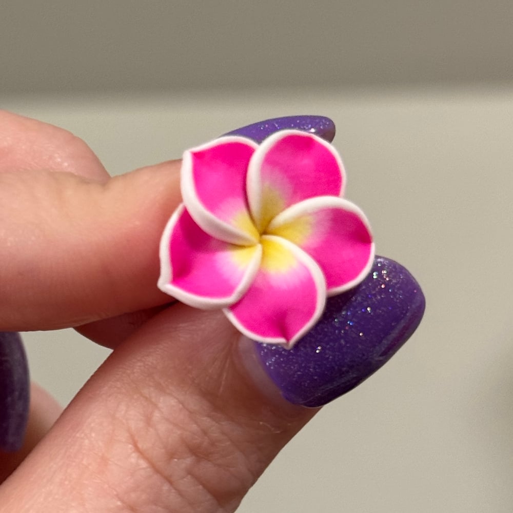 Image of Tropical Flower Plugs (sizes 00g-5/8)