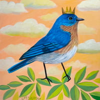 Little Bluebird 1