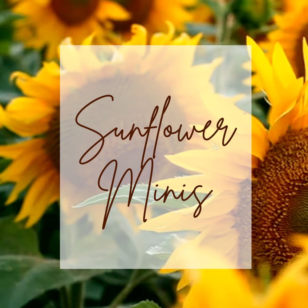 Image of DEPOSIT FOR A SUNFLOWER MINI SESSION