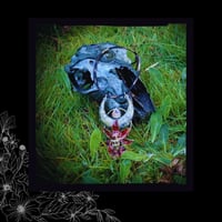 Image 3 of ☽ Ixchel ☾