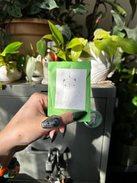 Image 1 of Cat MYSTERY Sticker Pack