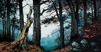 Image 1 of Forest 4