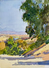 San Clemente Coastal Canyons
