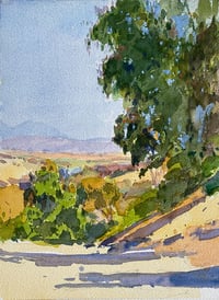 San Clemente Coastal Canyons
