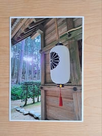 Image 2 of  Sanctuary Aglow (2025)