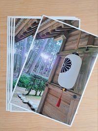 Image 3 of  Sanctuary Aglow (2025)