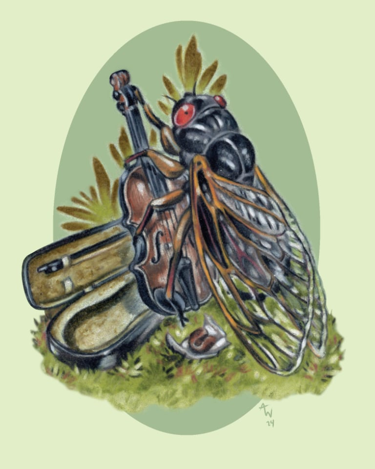 Image of "Cicada and Viola" Mini Art Print