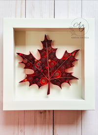 Image 4 of RED MAPLE LEAF