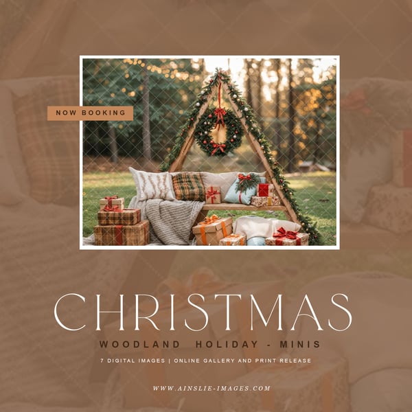 Image of Woodland Holiday MInis