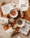 MONSTER MASHUP POTION KIT