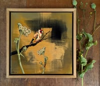 Original Canvas - Goldfinch - 30cm x 30cm