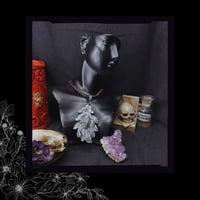 Image 2 of ☽ Quercus ArgenS ☾