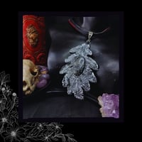 Image 4 of ☽ Quercus ArgenS ☾