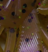 Image 16 of HUGE 8.8" MOJO Worm 6pk