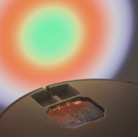 Image 3 of clue. - 28cm