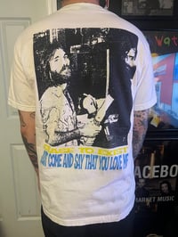 Image 2 of Beach boys rip