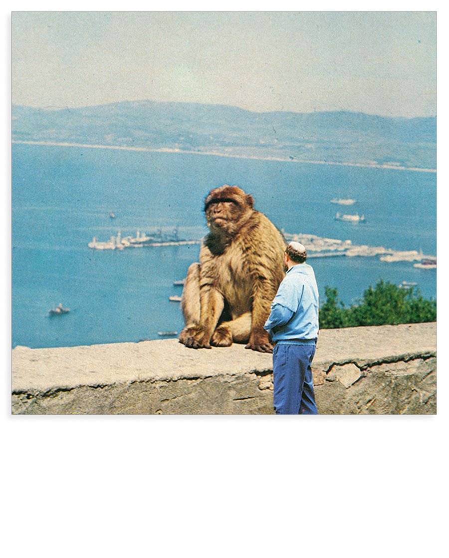 Image of 【Signed】'Out and about' - art print