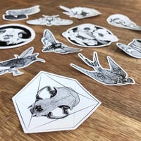 Image 5 of Stickerpacks - Set of 3 Vinyl Stickers (3 different sets)
