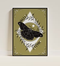 Image 2 of A3 Art Print 'Moth'