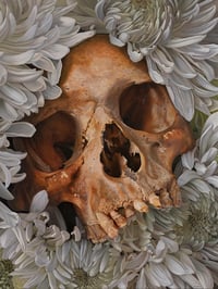 Image 1 of JEFF SRSIC "IN FLORE MORS" PRINT