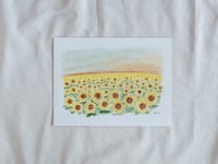 Image 3 of lámina girasoles.