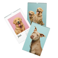 Image 5 of Wall Calendar (2026)