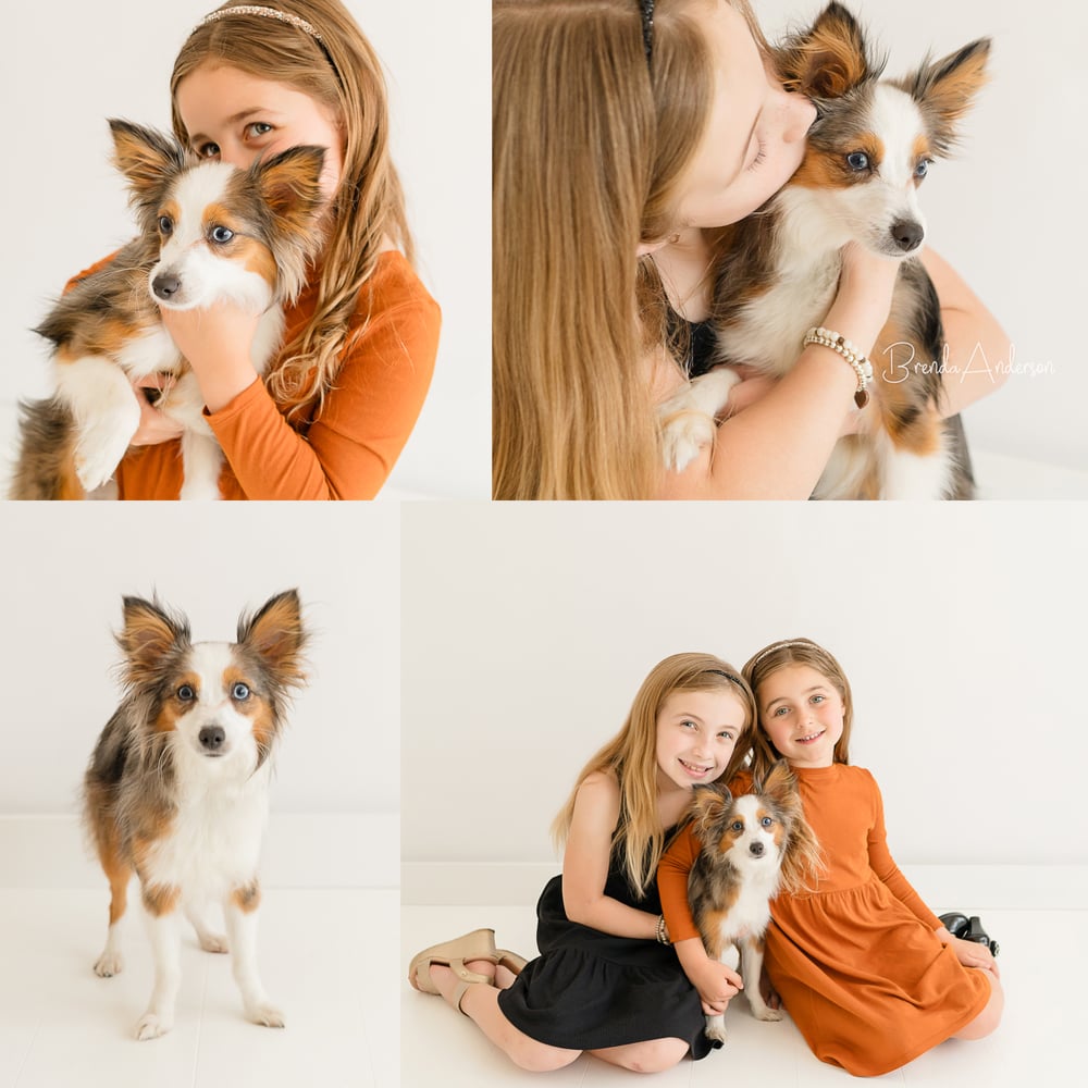 Image of Pet Portrait Minis