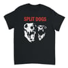 SKULLS