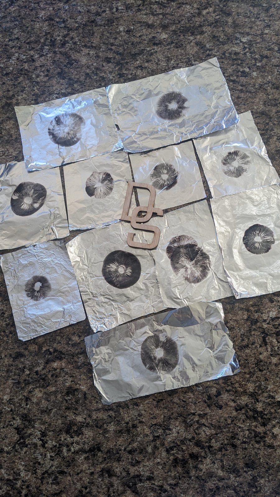 Image of 2x Golden Teacher Spore Prints **Free Shipping**