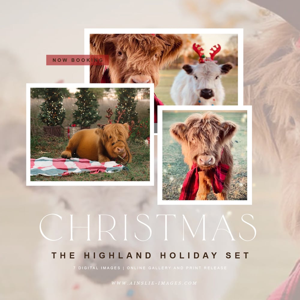 Image of The Highland Holiday Set