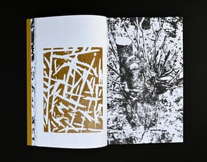 Image of Carbonarc by Perry Doane