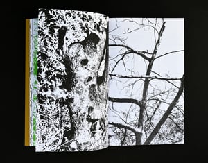 Image of Carbonarc by Perry Doane