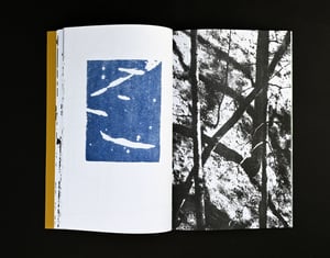 Image of Carbonarc by Perry Doane