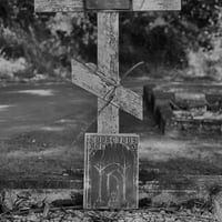 Image 2 of CONSCIOUS ROT ZINE #3