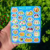 Cats and Dogs Sticker Sheet