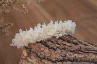 Image 3 of Newborn/Sitter Halo 95 - Ivory