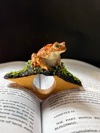Image 1 of Toad Page Holder