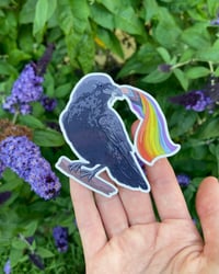 Image 2 of Pride Crow Weatherproof Sticker