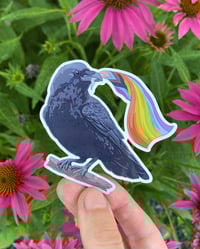 Image 1 of Pride Crow Weatherproof Sticker