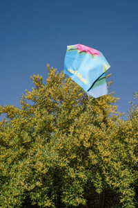 Image 1 of Horst Festival 2025 | Mini Sport Towel