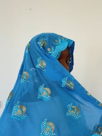 Image 1 of Kalla bleu palm