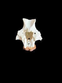 Image 1 of Elchwirbel auf Holz