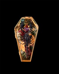 Heterometrus laoticus in Glassarg