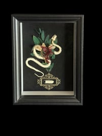 Enhydris chinensis - 20x25cm