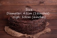 Image 2 of Newborn nest