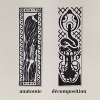 Image 2 of Marque-pages • anatomie // décomposition